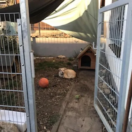 Apartment Garten Fuer Hundefreunde Mit Zaun Souterrain Treppe *