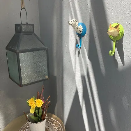 Apartment Garten Fuer Hundefreunde Mit Zaun Souterrain Treppe Hirschaid