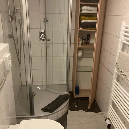 Garten Fuer Hundefreunde Mit Zaun Souterrain Treppe * Hirschaid