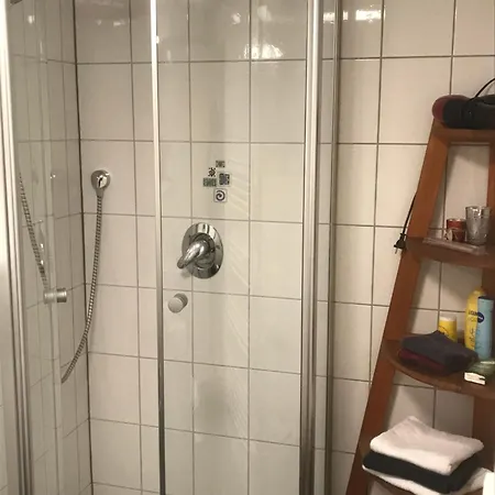 Apartment Garten Fuer Hundefreunde Mit Zaun Souterrain Treppe Hirschaid